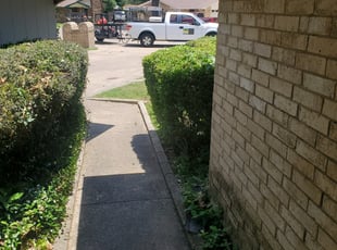 Bush Trimming by Brian Showers for Levon V. in Irving, TX