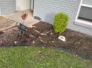 Weeding by Maria Hernandez for Bryan W. in Plano, TX