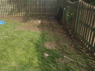 Leaf Removal by Tyrone Wilkins for Darra J. in Bowie, MD