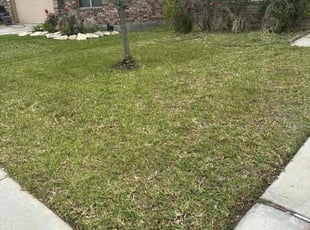 Weeding by Brianna Moore for Paul Z. in Channelview, TX