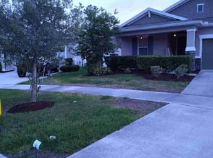 Mulching by Robert Nelams for Cyrus I. in Okahumpka, FL