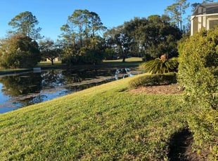 Adam’s S.'s Grass Cutting service result
