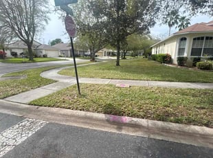 Leaf Removal by Ramon Taguja for Tracy S. in Brandon, FL