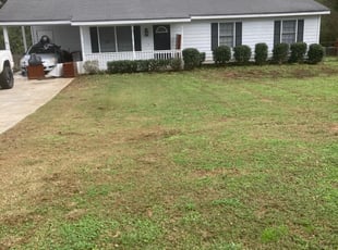 Bush Trimming by Shannon Costley for Derrick d. in Conyers, GA