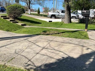 Rose S.'s Lawn Service service result