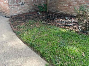 Cleanups by Paz Silva for Brandi B. in Spring, TX