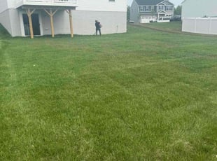 Clarence T.'s Lawn Mowing Service service result