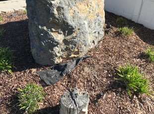 Weeding by Ryan Woodbury for Sarah C. in Lehi, UT