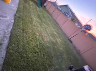 Cleanups by Martell Davis for Ryan H. in La Mirada, CA