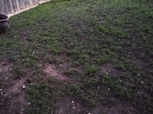 Cleanups by Mauro Leal Jr for Mindy C. in San Antonio, TX