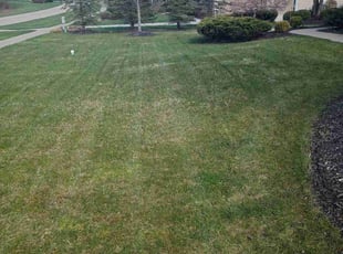 Zachary S.'s Lawn Service service result