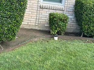 Weeding by Rosa Valencia for David V. in Rockwall, TX