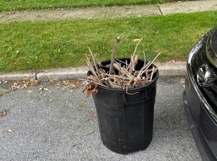 Leaf Removal by Jacob Kuehne for Grace W. in Middletown, PA