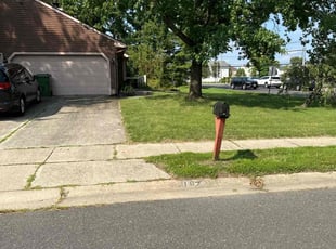 Bush Trimming by Ted Reimel for Irene S. in Evesham, NJ