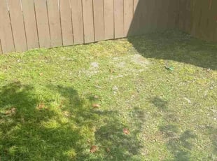 Weeding by Robert Marsico for Anna C. in Happy Valley, OR