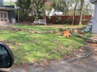 Leaf Removal by James White for Moon L. in Scranton, PA