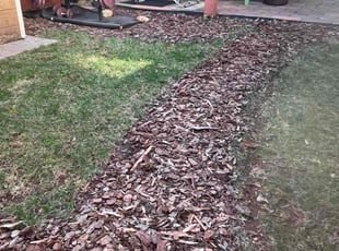 Weeding by Alesandre Duarte for Emmett W. in Sterling, VA