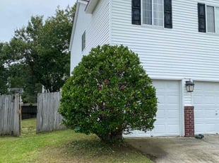 Bush Trimming by Robert LaVecchia for Marian D. in North Charleston, SC