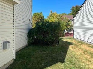 Bush Trimming by Eric Hubbard for Andrew D. in Indianapolis, IN
