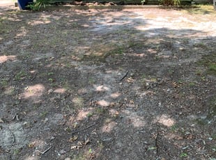 Cleanups by Dylan Jones for Joel Y. in Richmond, VA