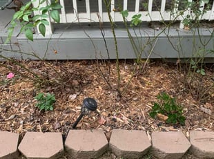 Weeding by Kenneth Pope for Jennifer P. in Marietta, GA