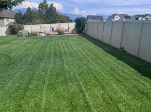 Monica T.'s Yard Cutting service result