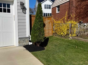 Bush Trimming by Miguel Santos for Nicholas S. in Bethesda, MD