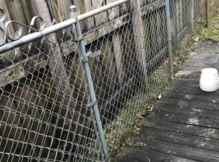 Cleanups by Jeremiah Williams for Jacqueline R C. in Pembroke Pines, FL