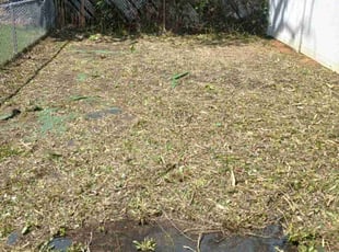 Cleanups by Maurice Downing for Ed S. in Philadelphia, PA