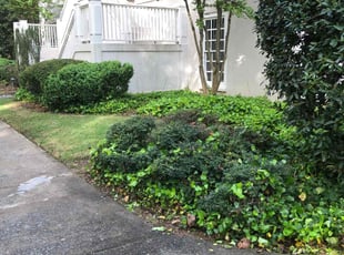 Bush Trimming by Roy Mcclendon for Jordan T. in Atlanta, GA