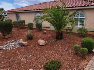 Bush Trimming by Lamont Johnson for Carl T. in Las Vegas, NV