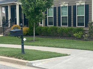 Weeding by Jacob Goldstone for Marshall H. in Franklin, TN