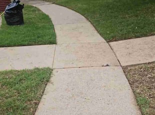 Leaf Removal by Manuel Solis Soto for Jianping J. in Richardson, TX