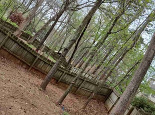 Leaf Removal by Eric Cotto for Justin C. in Suwanee, GA
