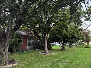 Chelsea M.'s Lawn Service service result