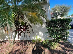 Weeding by Robert Adams for Juanita T. in Melbourne, FL