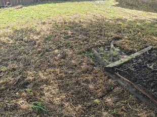 Cleanups by Juan Sanchez-Valdez for Kimberly C. in McKinney, TX