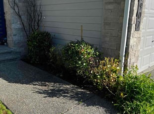 Gaylon C.'s Bush Trimming service result