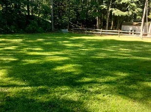 Kai W.'s Lawn Care service result