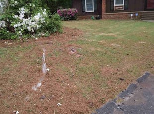 Bush Trimming by Derrick Thomas for Mitchell W. in Fayetteville, NC