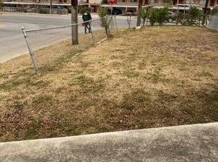 Leaf Removal by Hazel Araujo for Nakisha W. in San Antonio, TX