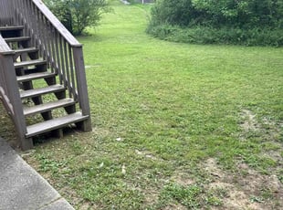 Bush Trimming by Dillon Stewart for Adrian W. in Birmingham, AL