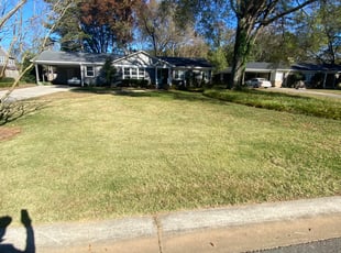 Leaf Removal by Jose Pena for Conner M. in Charlotte, NC