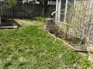 Cleanups by Darron Cotton for Alisha M. in Overland Park, KS