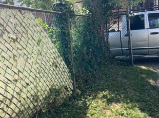 Leaf Removal by Curt Woods for Mia J. in Philadelphia, PA