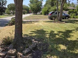 Weeding by Michael Gill for Laura L. in Farmers Branch, TX