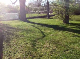 Cleanups by James Owensby for Kia R. in Indianapolis, IN
