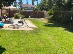Heidi F.'s Grass Cutting service result