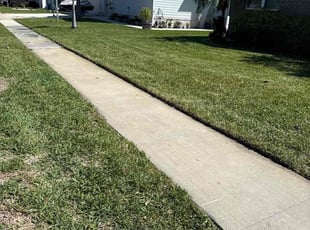 Letchas c.'s Lawn Mowing service result