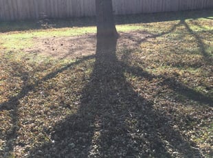 Landscaping by Don Hansen for Jake T. in Maple Grove, MN